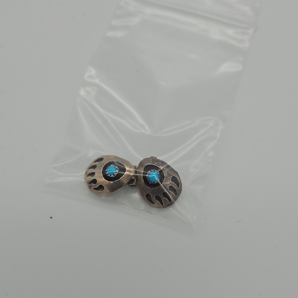 Elegant Silver and Turquoise Earrings